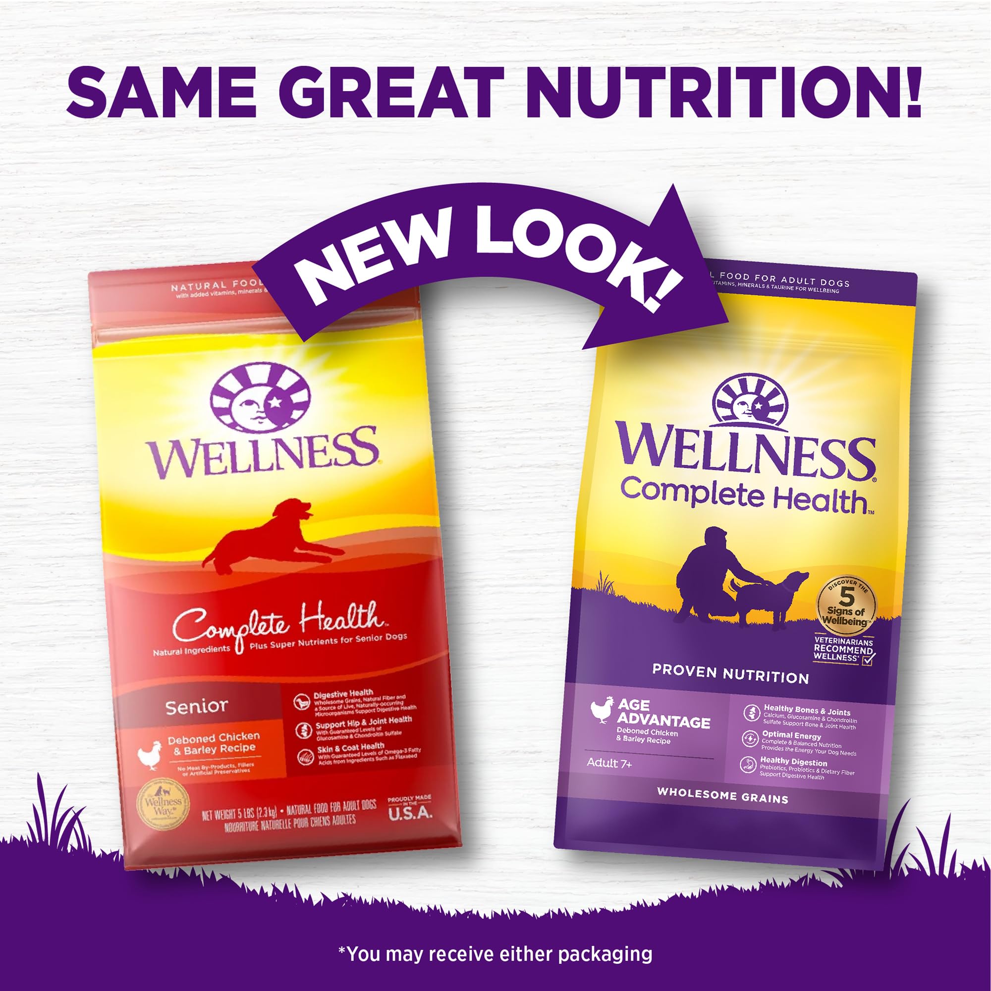 Wellness Complete Health Age Advantage chicken barley kibble close-up, protein-rich for aging dogs.