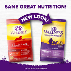 Wellness Complete Health Age Advantage chicken barley kibble close-up, protein-rich for aging dogs.