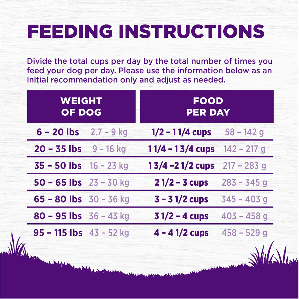Wellness Complete Health Age Advantage storage-friendly bag, keeps kibble fresh between meals.