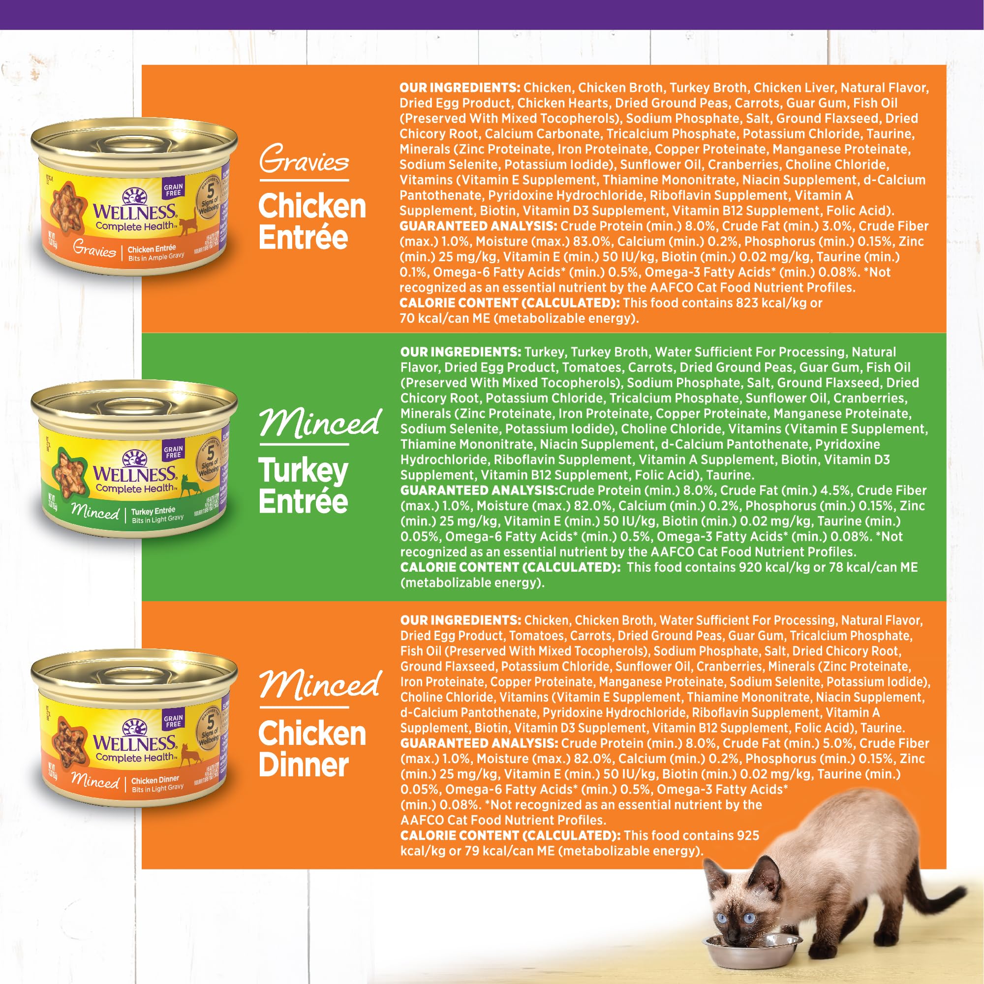 Wellness Complete Health cat bowl served, hydration-friendly wet food.