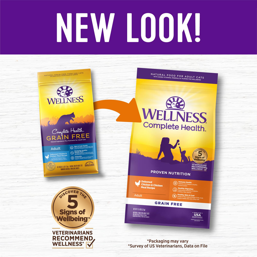 Wellness Complete Health kibble close-up showing grain-free bites designed for daily energy and coat health.