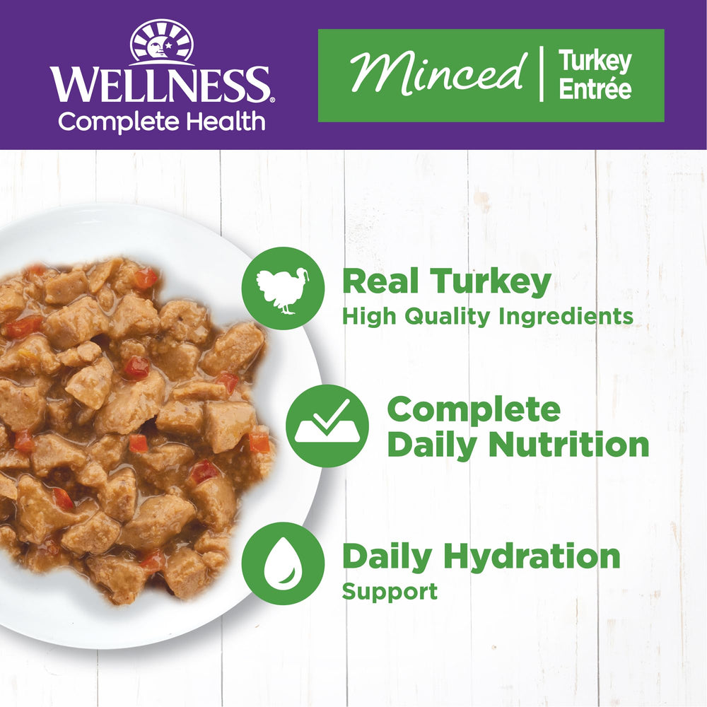 Wellness Complete Health cat minced turkey entree texture close-up, tiny pieces in light gravy.