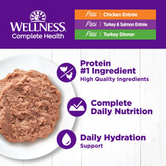 Wellness Complete Health chicken pate can, high-protein daily option.