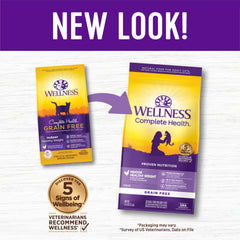 Wellness Complete Health chicken and turkey recipe kibble, protein-rich for indoor cats