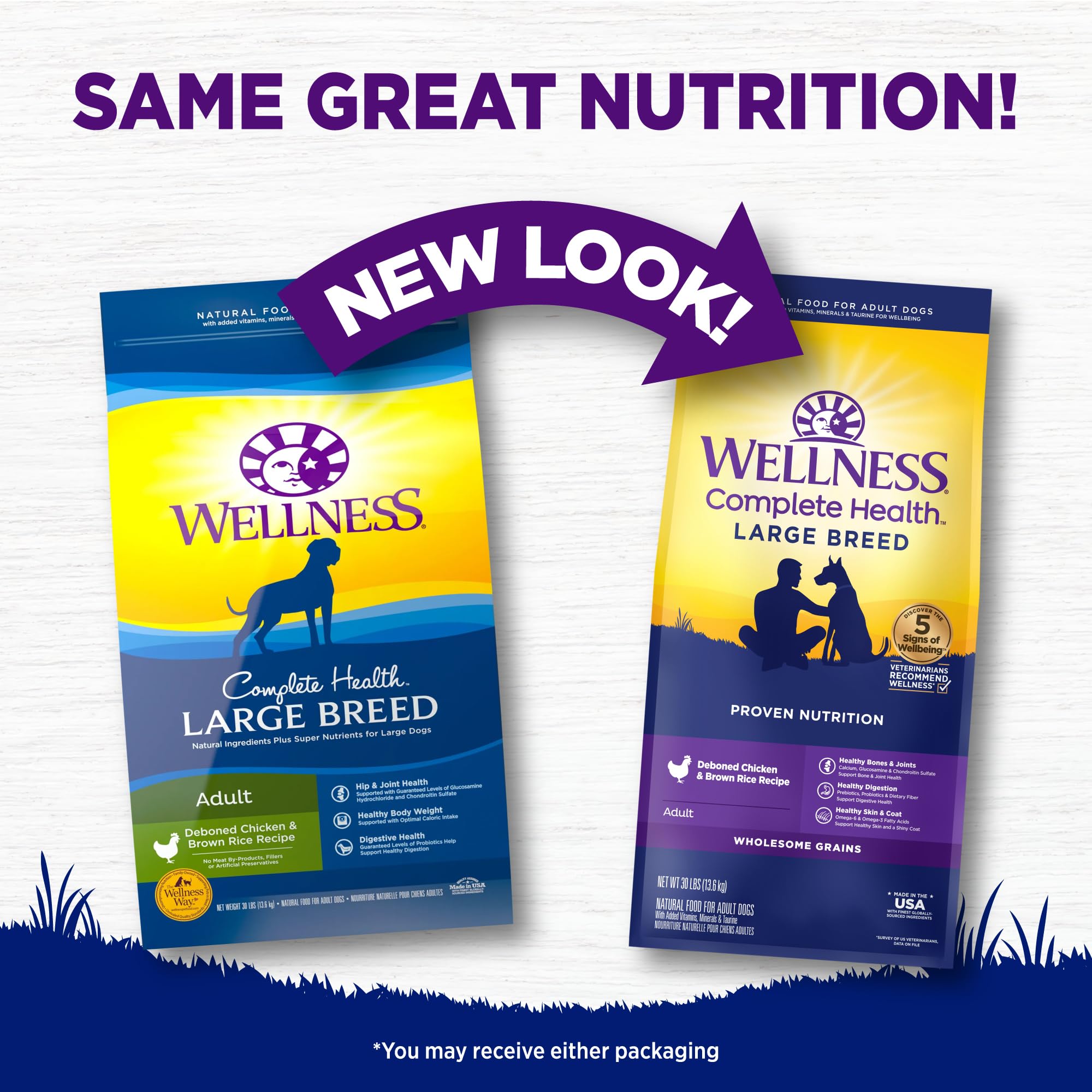 Wellness Complete Health dog eating from bowl, tasty kibble for hearty meals