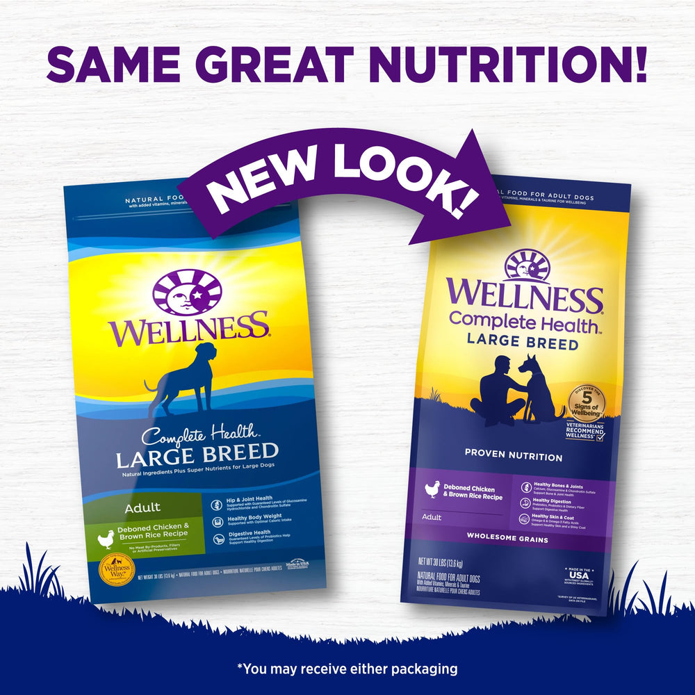 Wellness Complete Health dog eating from bowl, tasty kibble for hearty meals