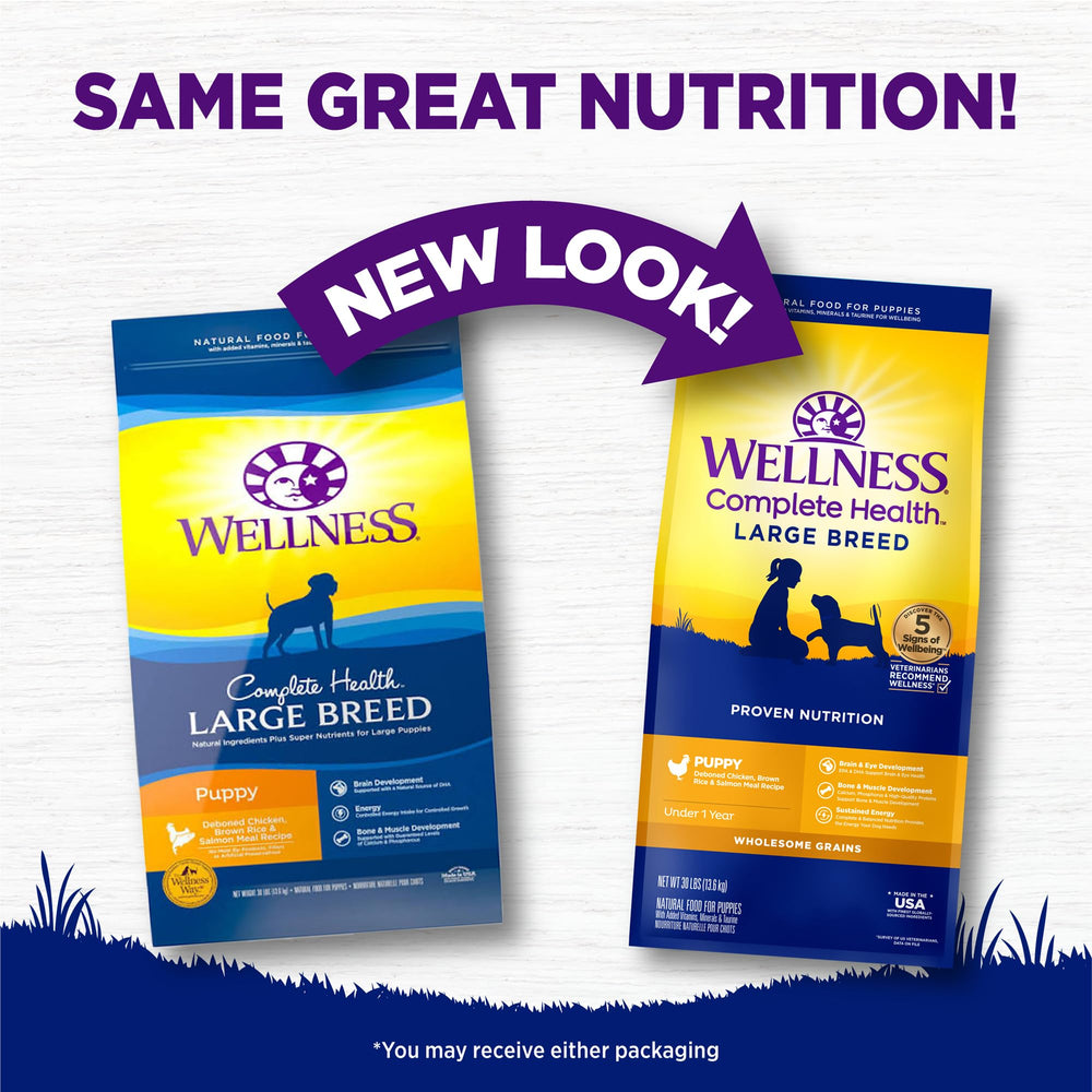 Wellness kibble in bowl with scoop for convenient daily feeding