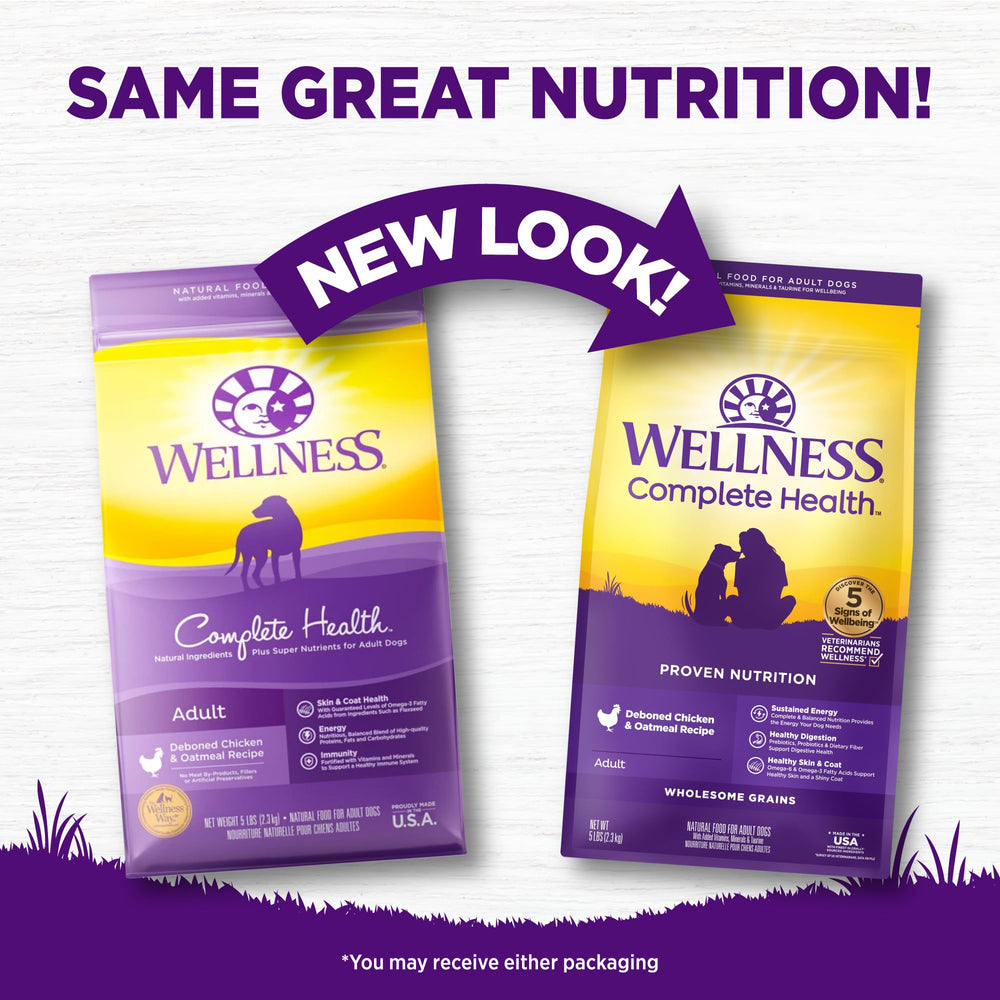 Wellness Complete Health ingredients highlight chicken and oats for wholesome nutrition