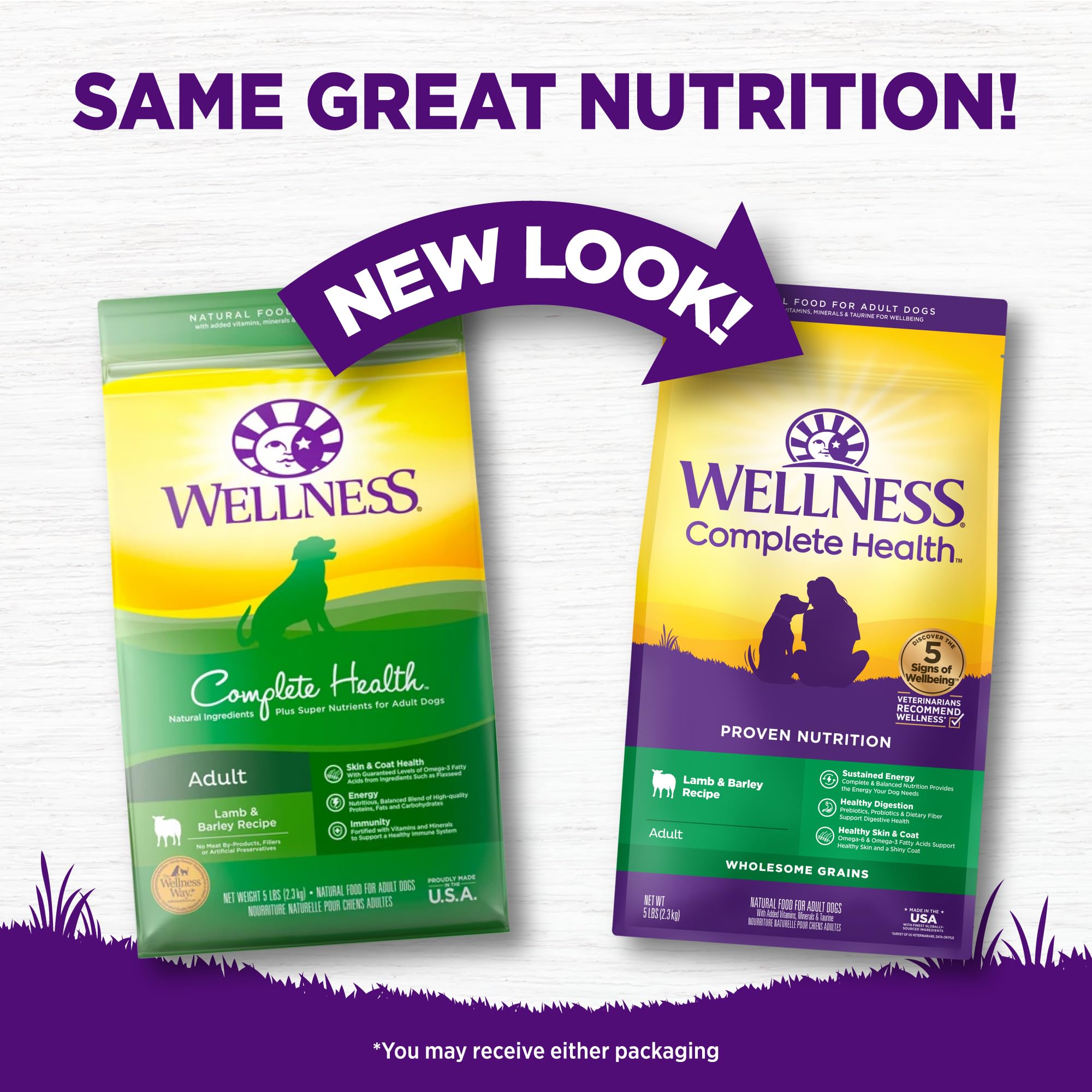 Wellness Complete Health packaging highlights lamb and barley ingredients for dog meals.