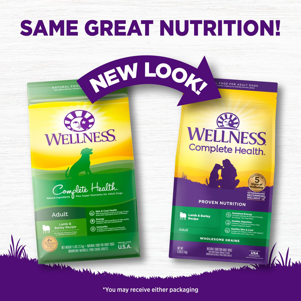 Wellness Complete Health packaging highlights lamb and barley ingredients for dog meals.