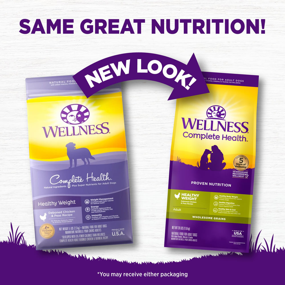 Serving bowl of Wellness Complete Health dog food ready to feed