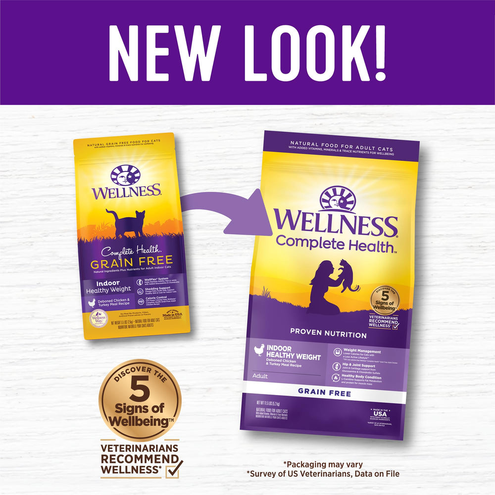 Grain-free Wellness kibble close-up showing texture for digestion support.