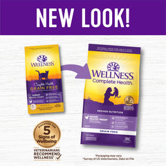 Grain-free Wellness kibble close-up showing texture for digestion support.