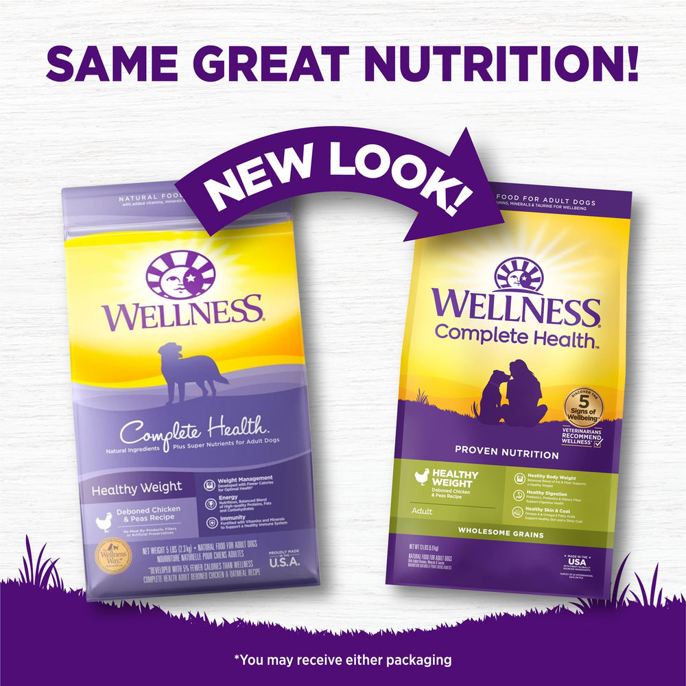 Wellness Complete Health chicken and peas kibble close-up great for daily meals