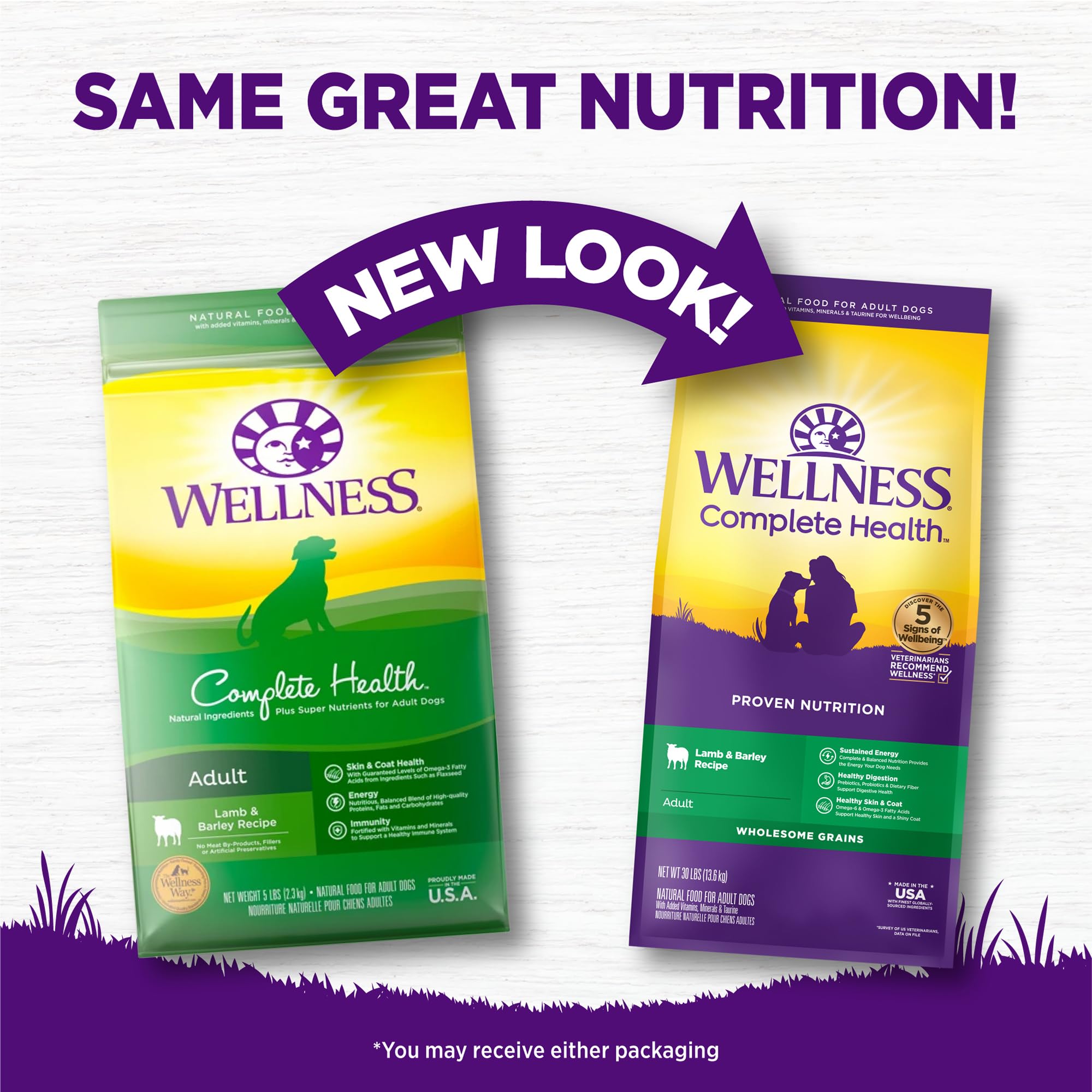 Wellness Complete Health kibble supports digestive health with balanced ingredients.