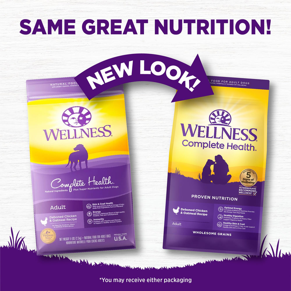 Wellness Complete Health kibble close-up highlighting protein-rich pieces for adult dogs