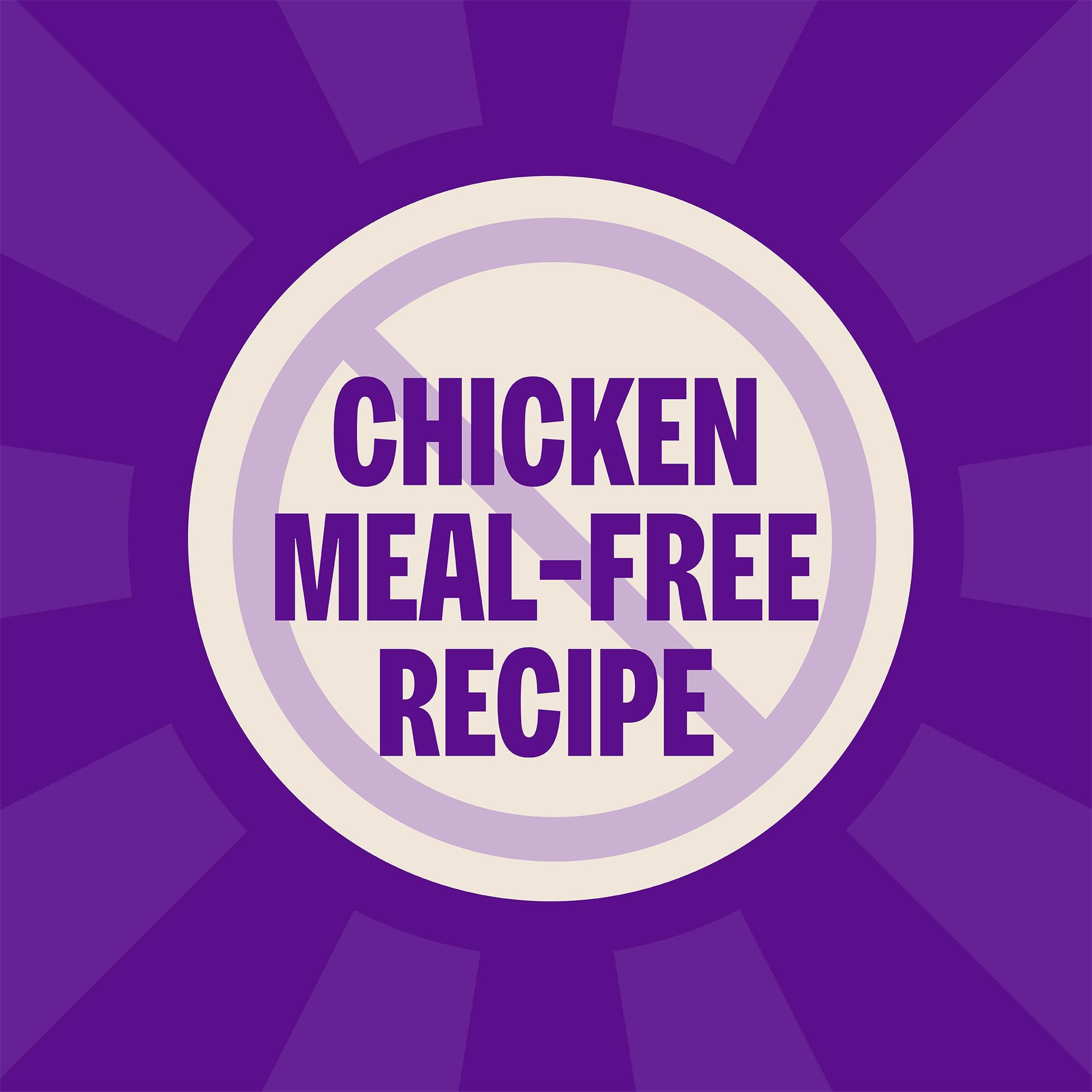 Wellness Complete Health kibble closeup shows crunchy texture for satisfying meals.