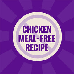 Wellness Complete Health kibble closeup shows crunchy texture for satisfying meals.