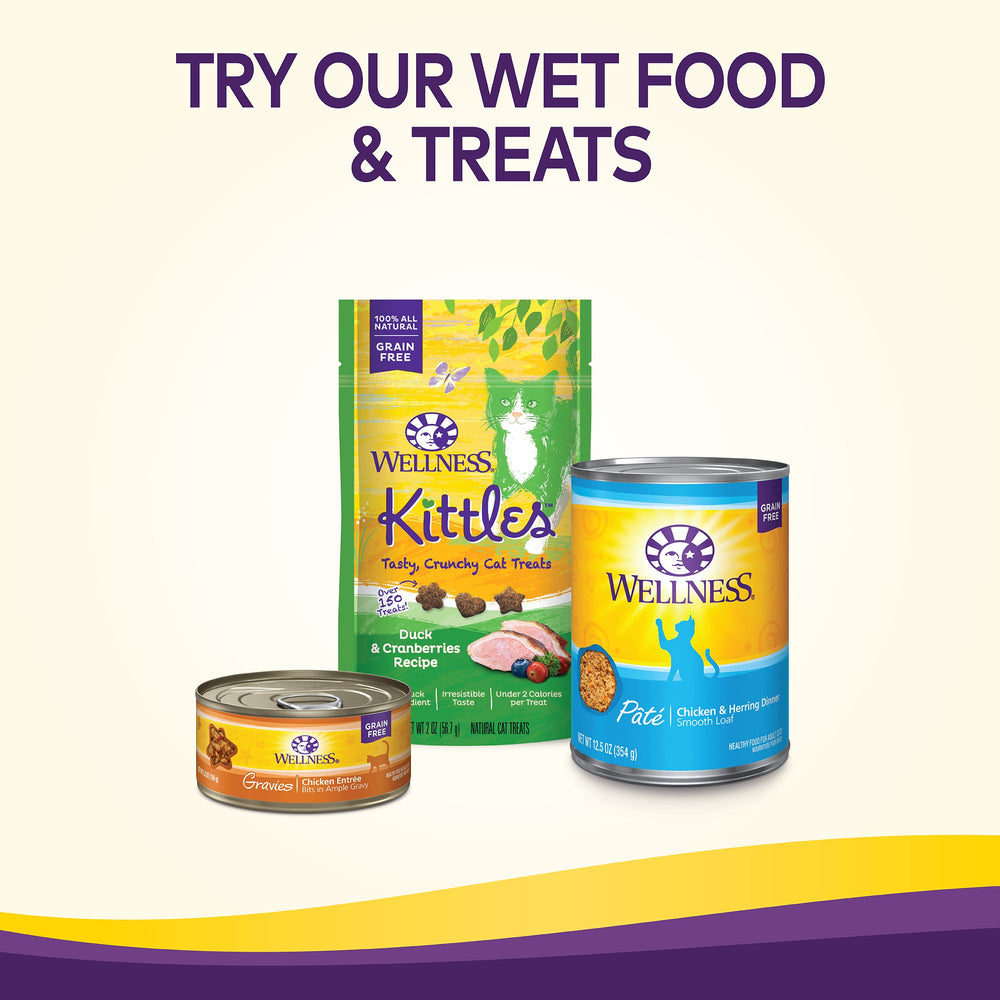 Wellness Complete Health energy for daily playtime in indoor cats