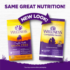 Wellness Complete Health grain-free kibble closeup showing balanced nutrition for digestion.