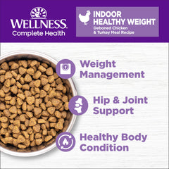 Wellness Complete Health grain-free kibble close-up highlighting protein quality