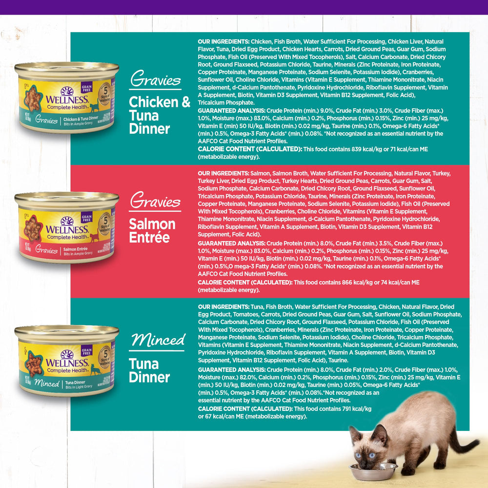 Wellness Complete Health gravies-salmon-open, ready-to-serve with appealing texture