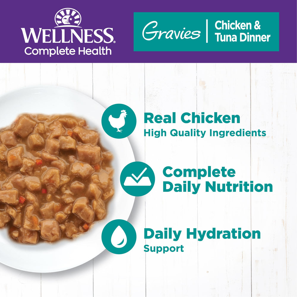 Wellness Complete Health Gravies tuna entree close-up highlighting protein-rich flavor.
