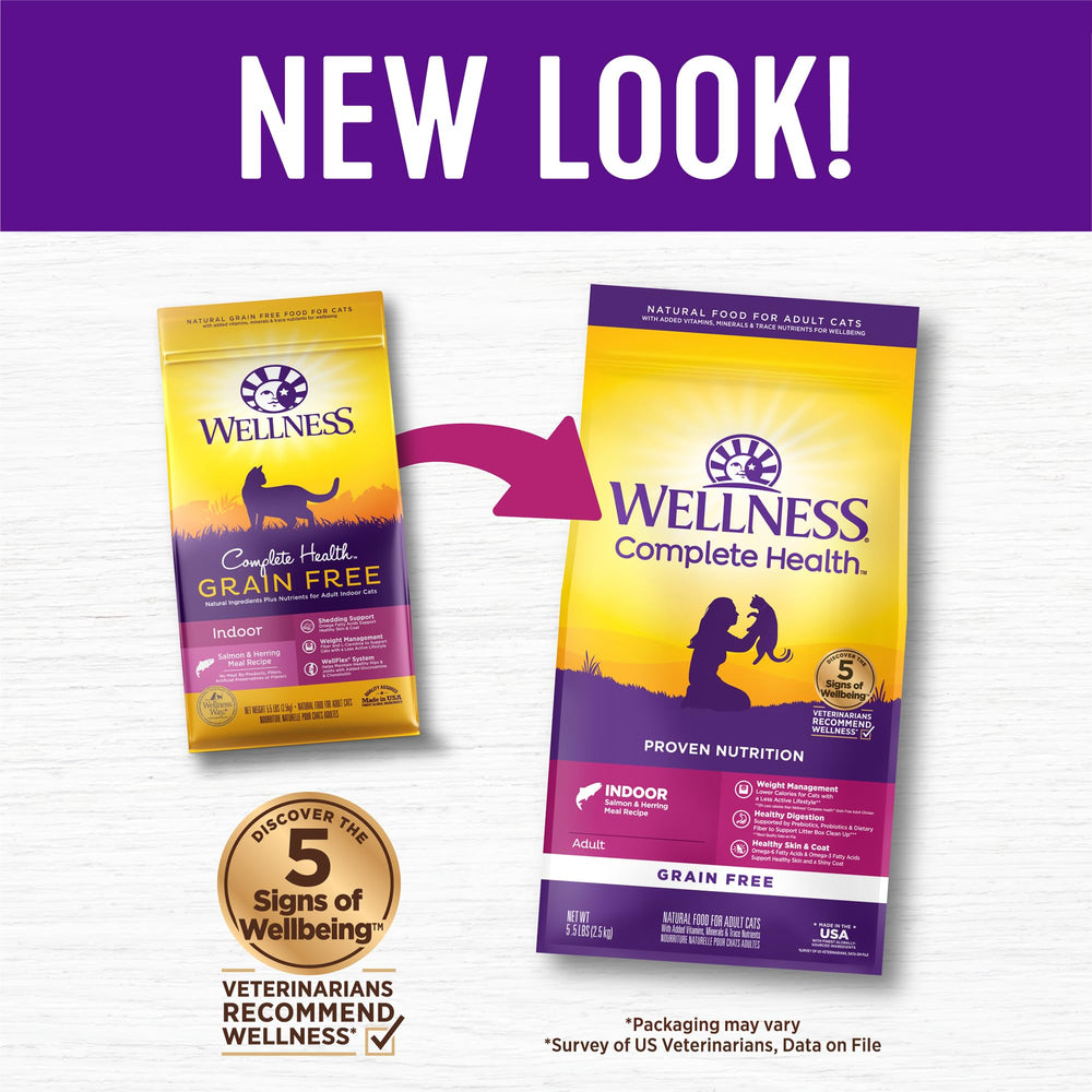 Wellness Complete Health Indoor Cat Food serving bowl depicts balanced daily meals.