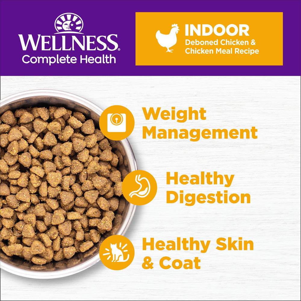 Close-up of Wellness Complete Health Indoor Chicken kibble shows hearty texture for indoor cats.
