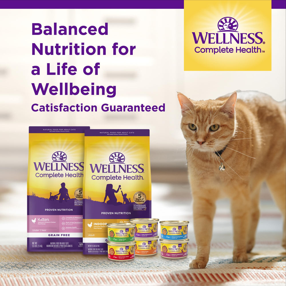 Energy-focused Wellness Complete Health Indoor Chicken kibble helps indoor cats stay active.