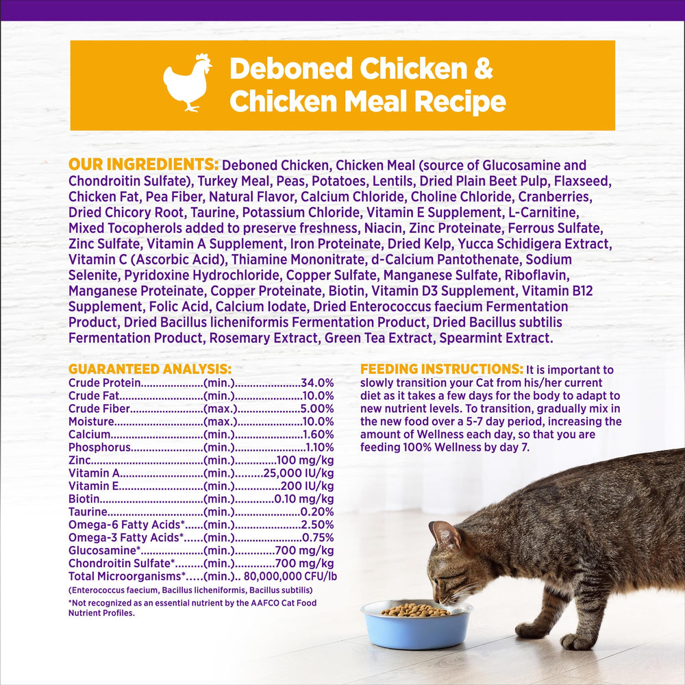 Wellness Complete Health serving dish with portioned kibble for indoor cats