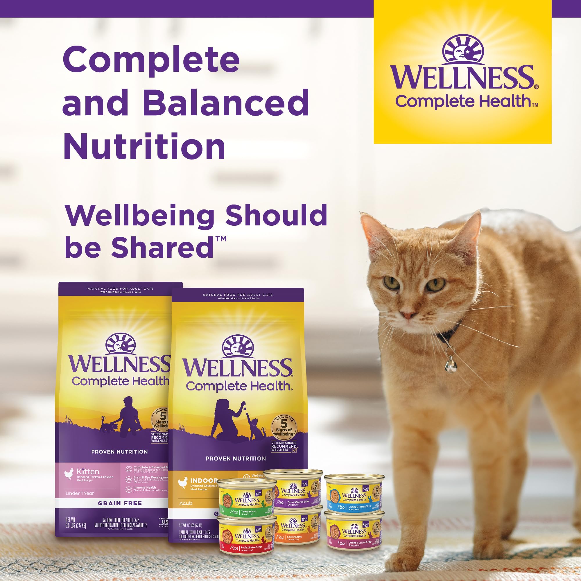 Wellness Complete Health USA-made production line suggesting quality control and safety