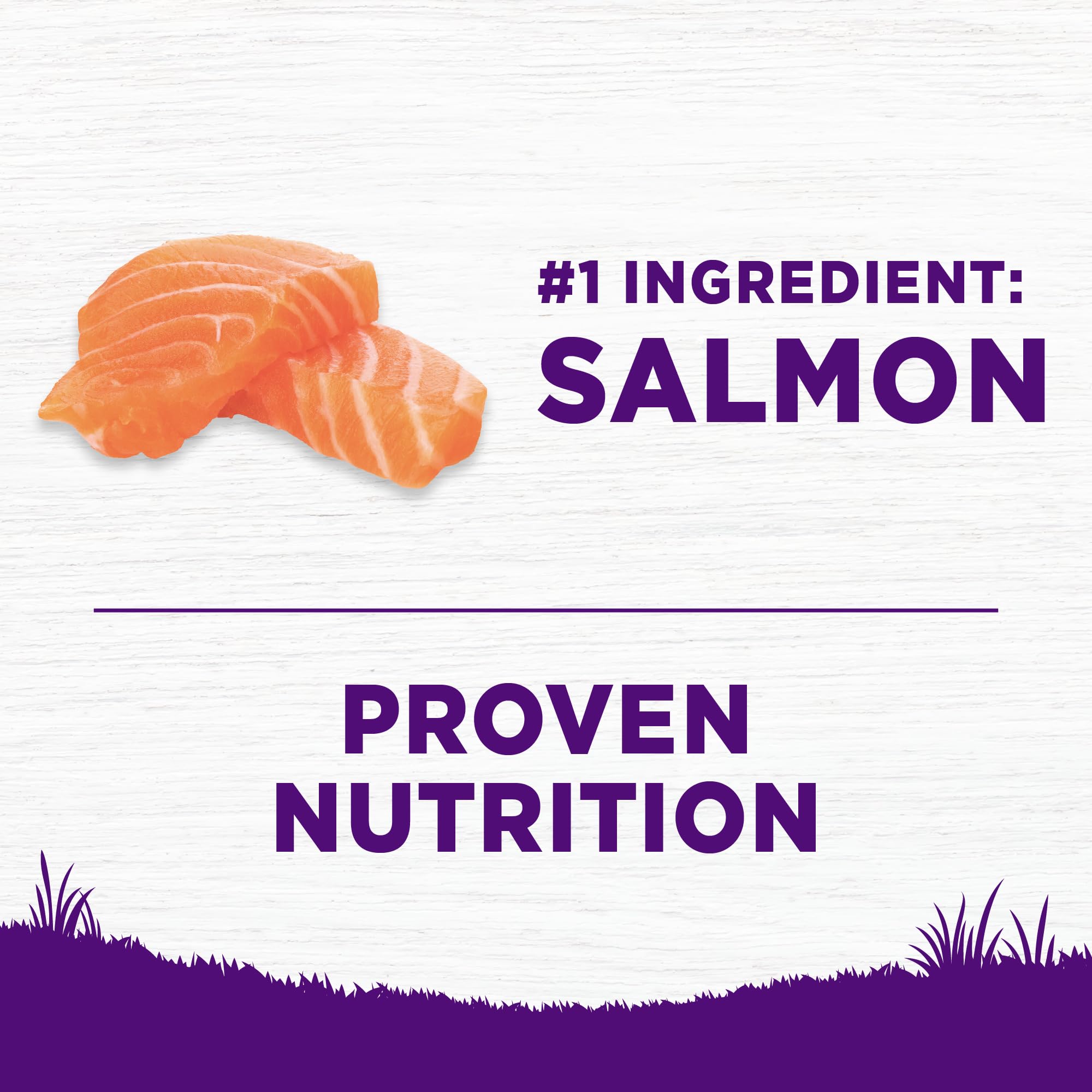 Wellness Complete Health ingredients include salmon and rice for wholesome nutrition