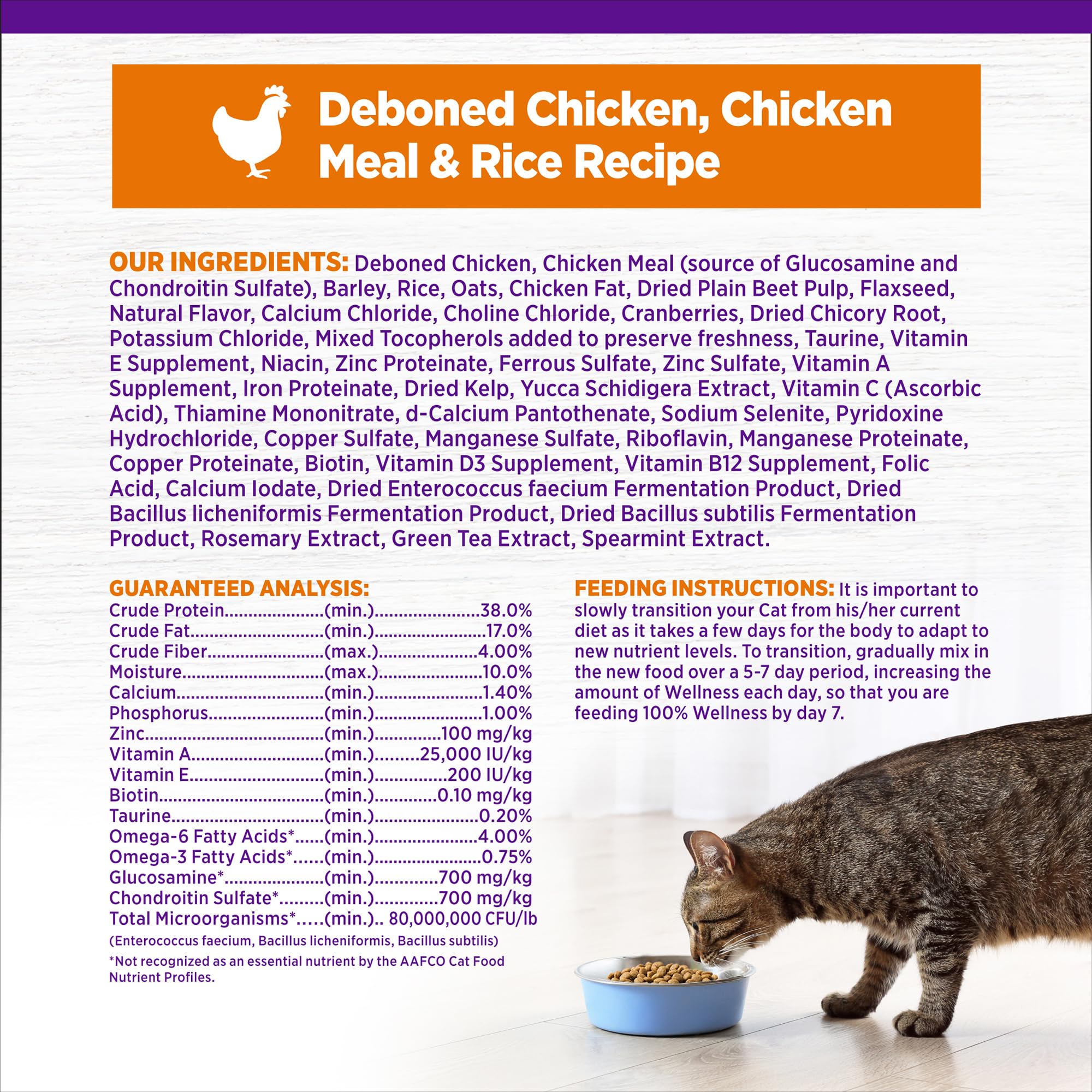 Wellness Complete Health cat enjoying kibble, energy for playtime