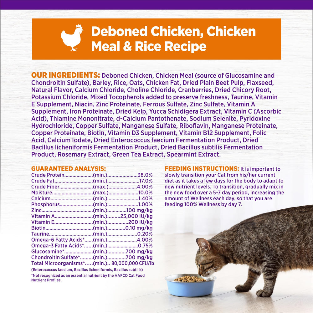 Wellness Complete Health cat enjoying kibble, energy for playtime
