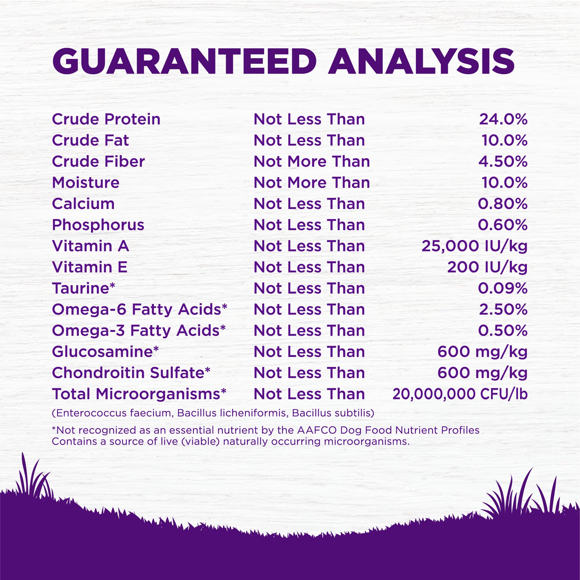 Wellness Complete Health kibble in bowl suggests digestive health support