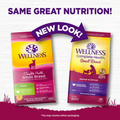 Wellness Complete Health small breed kibble texture close-up demonstrates easy chewing.