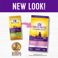 Wellness kitten kibble with DHA for brain development