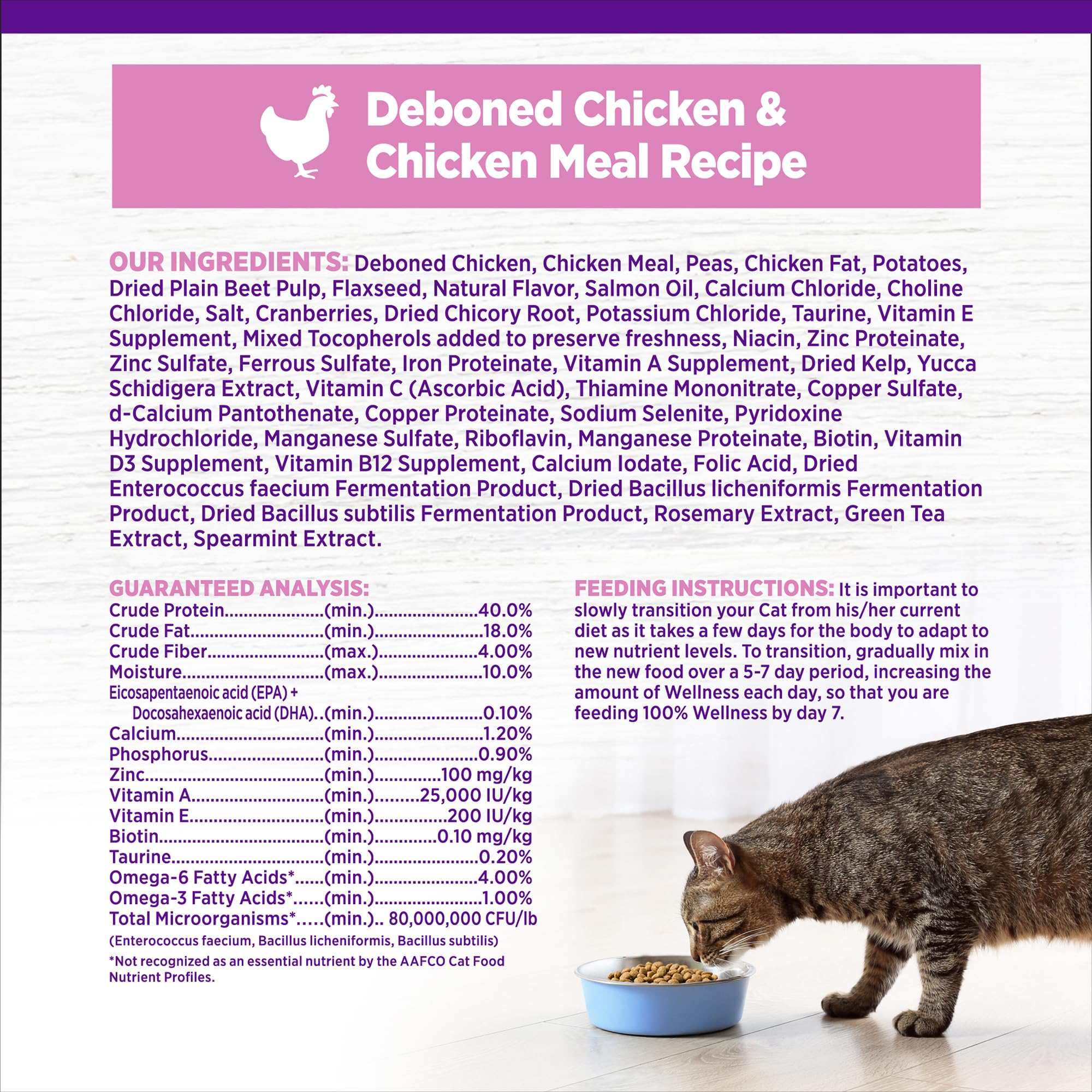 Wellness kitten kibble made in the USA in a modern facility