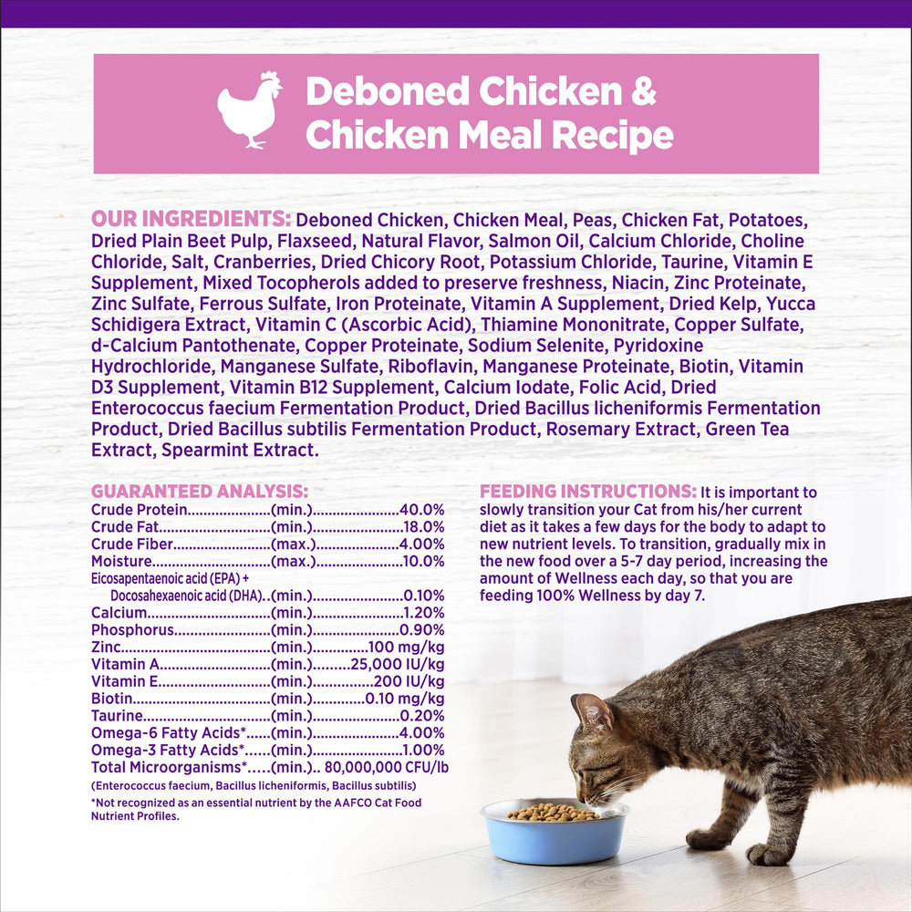 Wellness kitten kibble made in the USA in a modern facility