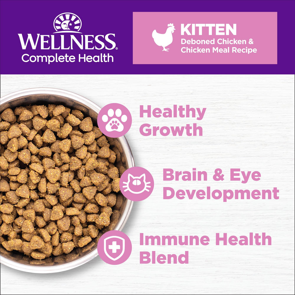 Wellness Complete Health kitten meal serving in a bowl emphasizes balanced nutrition for growth
