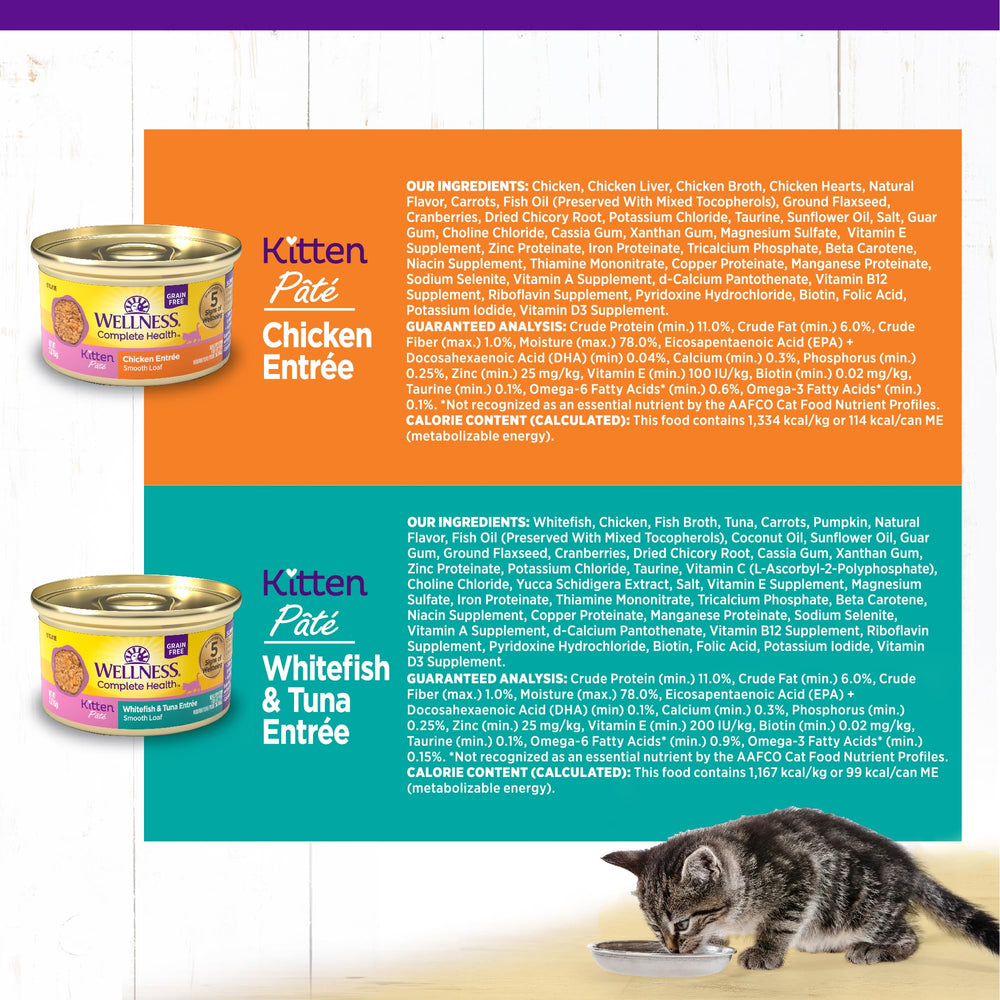 Wellness Complete Health multi-pack display shows variety for kittens' meals.