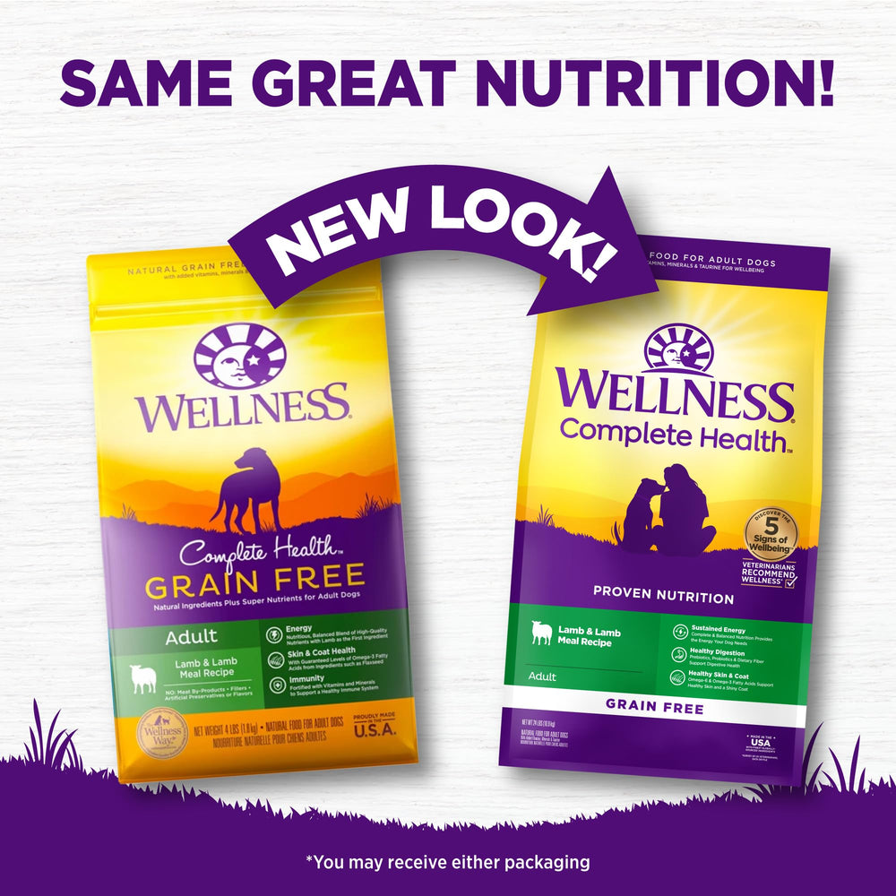 Wellness Complete Health Lamb Recipe ingredients close-up showing high-quality natural components.