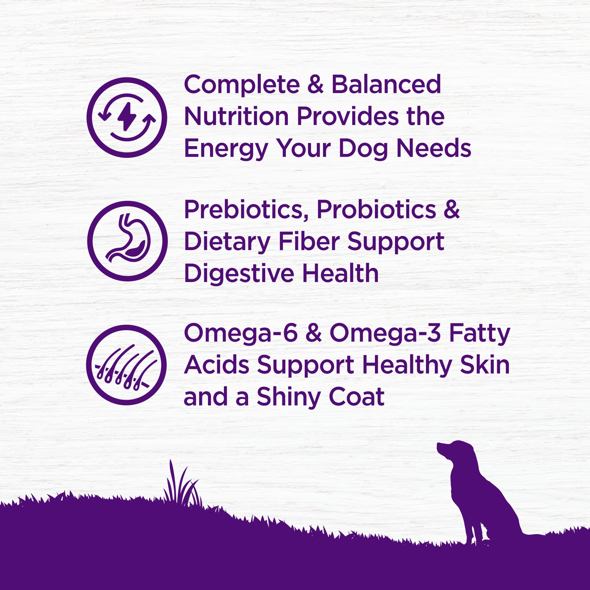 Wellness Complete Health Lamb Recipe kibble close-up emphasizing grain-free formula and fats.