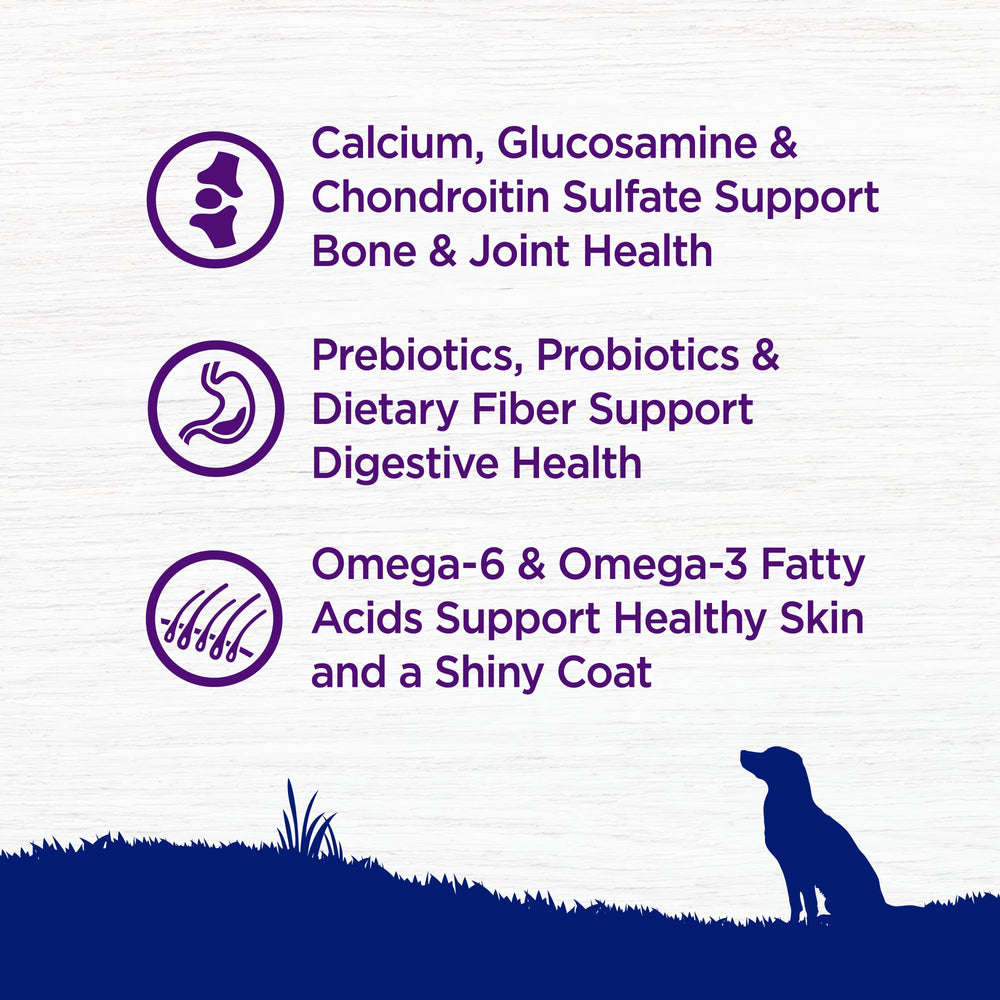 Wellness Complete Health digestive-health kibble with probiotics for easier digestion.