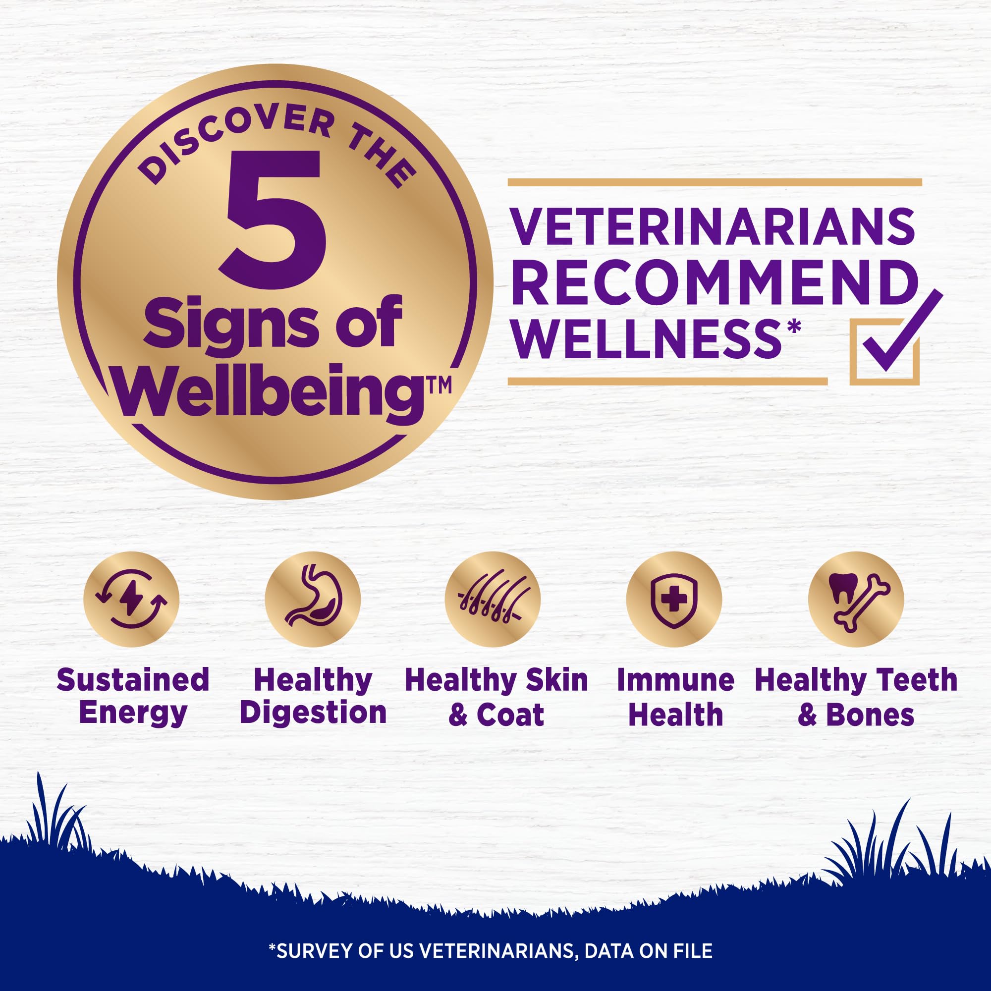 Wellness Complete Health large-breed kibble chicken brown rice focus, supports balanced nutrition