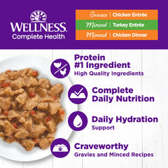 Wellness Complete Health minced chicken can, high-protein texture for meals.