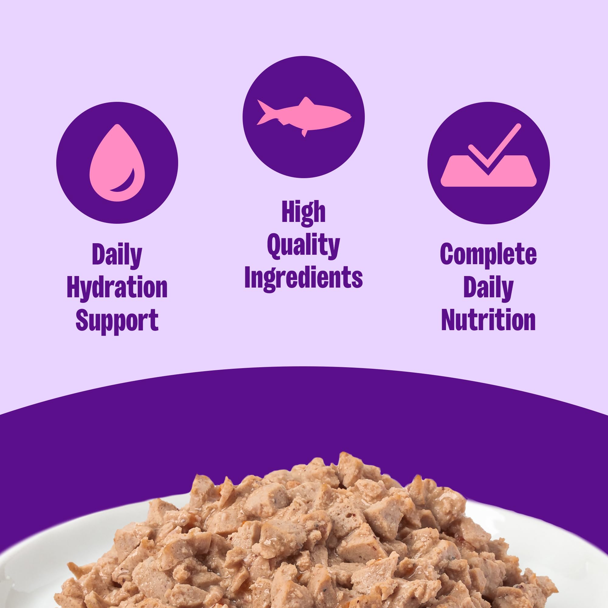 Wellness Complete Health minced salmon entree close-up gravy highlights flavor and hydration.