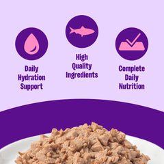 Wellness Complete Health minced salmon entree close-up gravy highlights flavor and hydration.