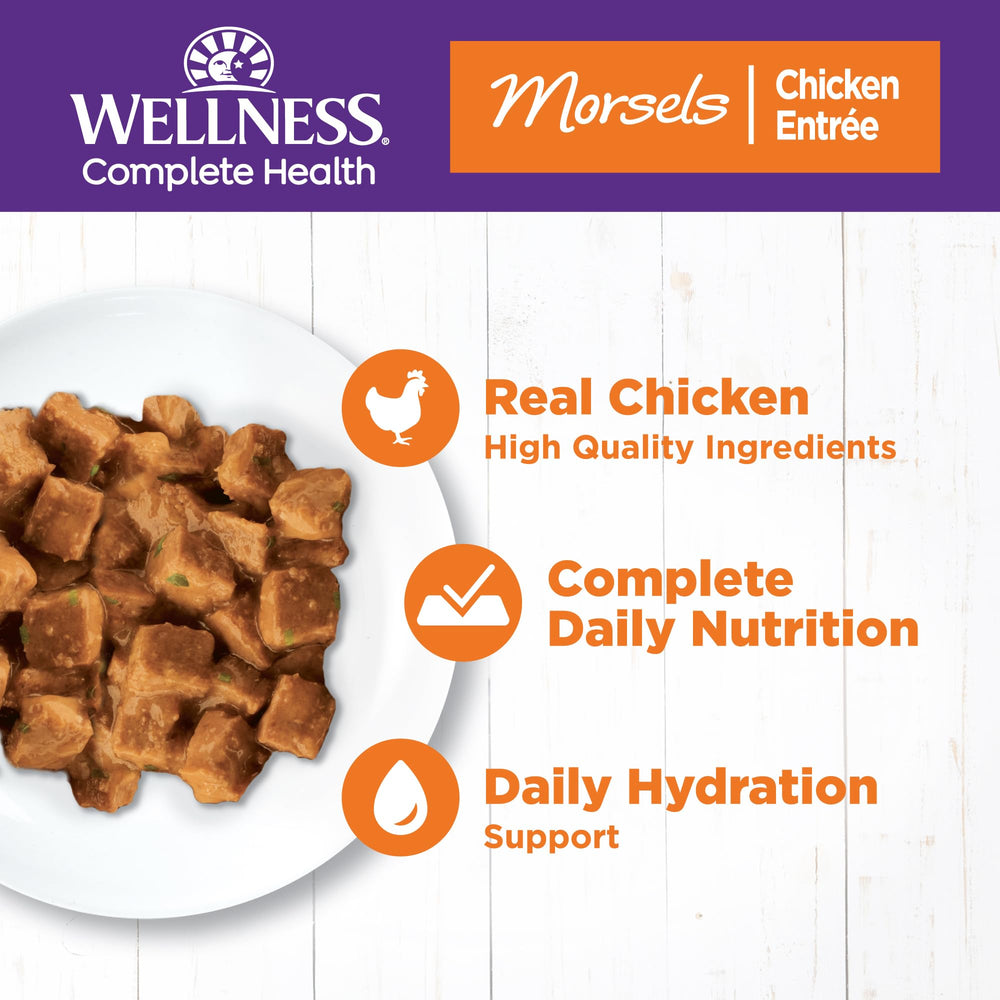 Wellness Complete Health Morsels cat wet food with cube-shaped chicken pieces in light gravy
